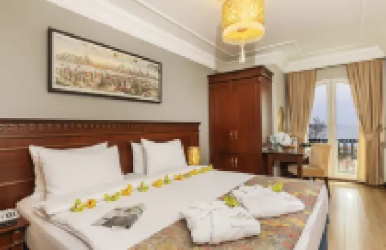 The Magnaura Palace Hotel Hotels near Hagia Sophia