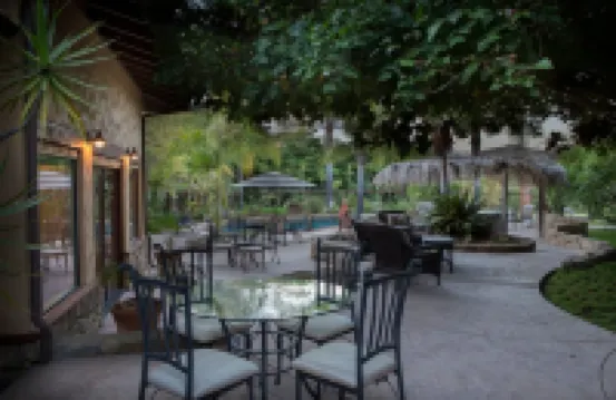 Coral Tree House
