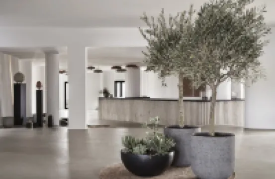 歐拉瑪 Spa 酒店