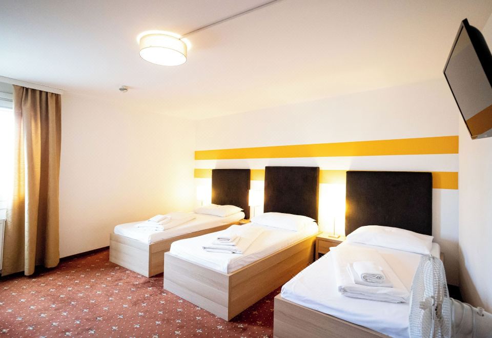 1. 레나스 도나우 ..