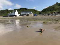 Bryn Noddfa - Beach