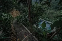 Kafen Hotel - Pools