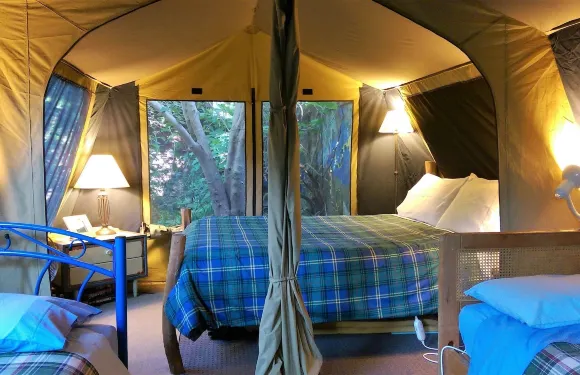 那納普黑鳳頭鸚鵡小屋