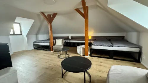Family Apartments Černice - spa