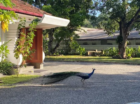 Happy Valley Residence Unawatuna Отели рядом с достопримечательностью «Унаватуна»