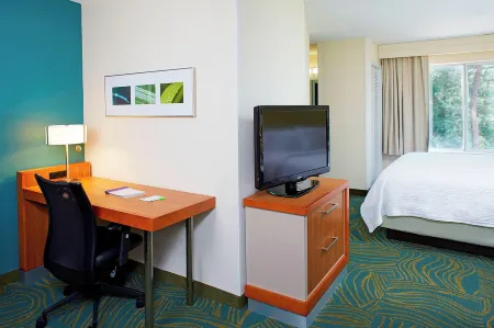 SpringHill Suites Atlanta Six Flags