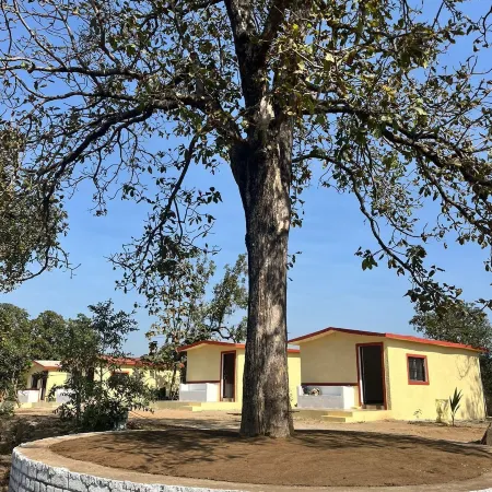 Home in the Jungle Pench