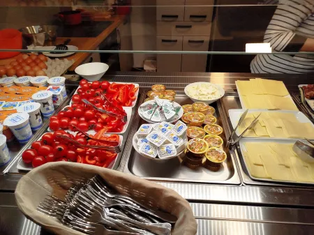 Hotel Comat Deva Отели в г. Дева