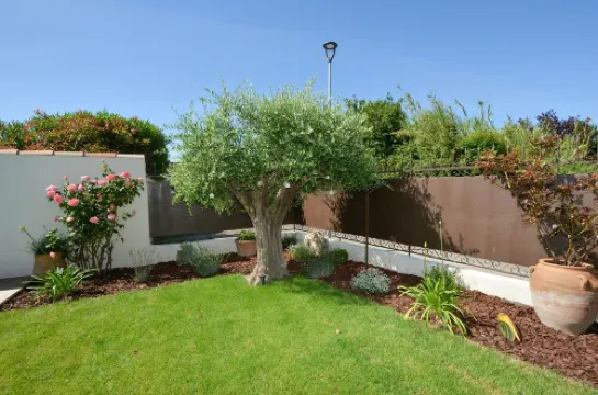 3-bedroom villa with private pool and AC