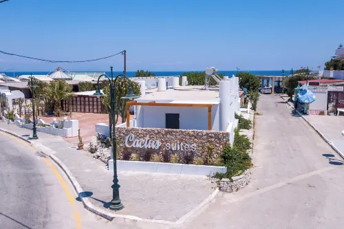 cactus suites
