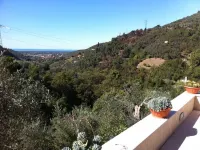 Rustic first hill sea view in Versilia