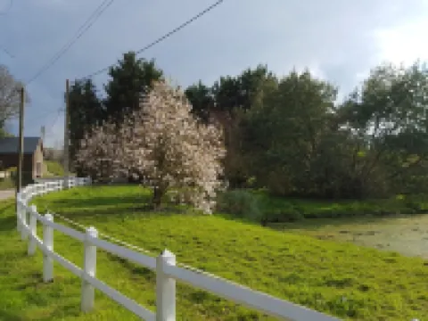 Furnished cottage "les Azalés" Hotels in Ploermel