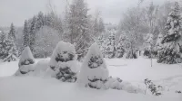 4 lovely apartments on beautiful place in mountains in tourist´s and ski area