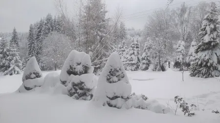 4 lovely apartments on beautiful place in mountains in tourist´s and ski area