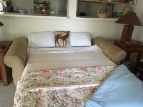 Jackson Hole Condo, 5 Miles from Grand Teton National Park,4 miles to ski resort