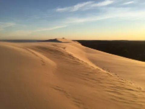 Wooden villa facing the sea Hotels in Gujan-Mestras