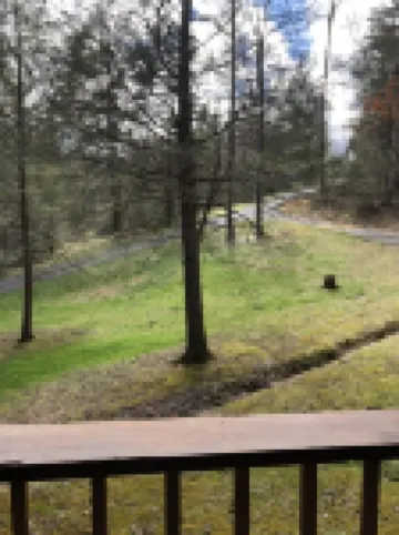 Cabin #1  Cozy and relaxing cabin near Big South Fork