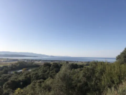 Sunny T2 with sea view