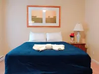 Beautiful apt Downtown perfect for long term stays