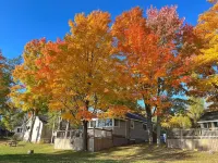 Muskoka Cottage Minutes From Bala