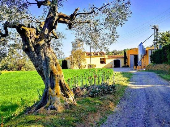 Rural house (full rental) Mas Hortus for 13 peopleOffers