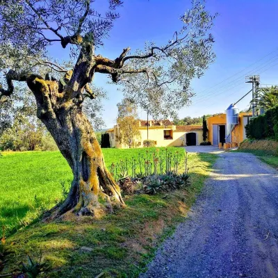 Rural house (full rental) Mas Hortus for 13 peopleOffers