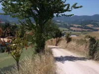 Beautiful self-catering flat for rent in the country