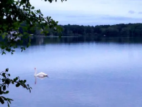Beautiful Cape Home Steps to Santuit Pond /Boating, Swimming, Fishing Hotels in Mashpee
