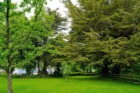 Relax in traditional farmhouse cottage perfect for touring South & West Ireland. Отели в г. Boola