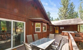 Arctic Wolf at Summit Base