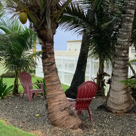 Lovely beach home with amazing grounds and private swimming pool