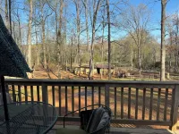 Lovers Lane FarmStay on a working family farm. Horses, cows, sheep, bees & more