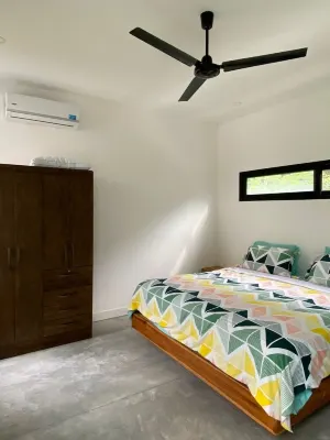 Stunning 3 BR 2.5 Bath House With Private Pool in Buena Vista, Samara