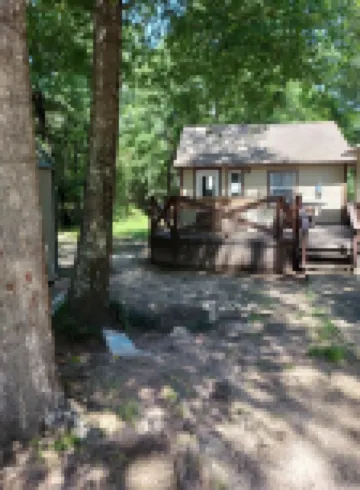 The Eagles Nest: visit with nature.Bold Eagles,Deer, Cranes,VISIT NASKILA CASINO