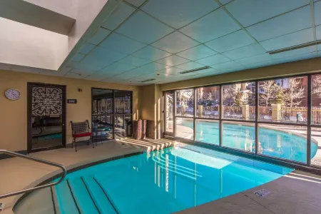 Cozy Pet-Friendly King Studio in Mt, Crested Butte Condo