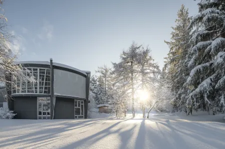 Hotel Allegro Einsiedeln Отели в г. Фойсисберг