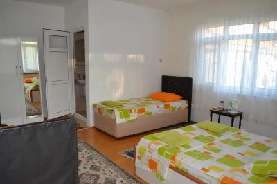 Sehsuvar Peace Pension Hotels in 