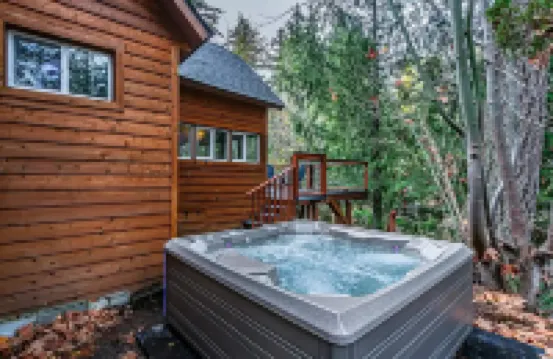 Riverfront Cabin w/Hot Tub : Near Mt. Rainier Sunrise entrance
