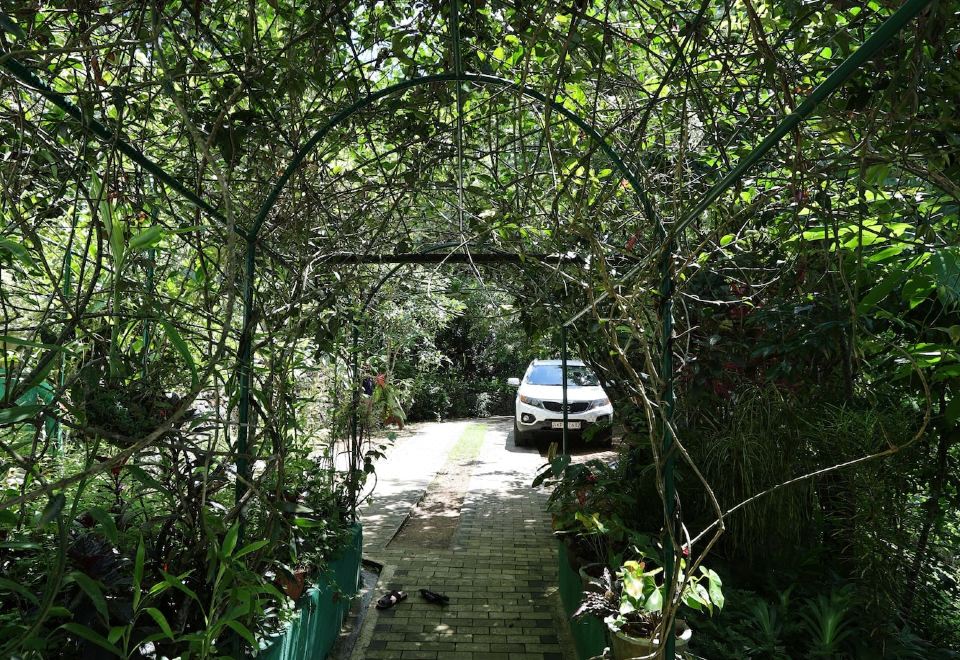 신하라자 리버 로지의 강변 전망 또는 샬레 외관