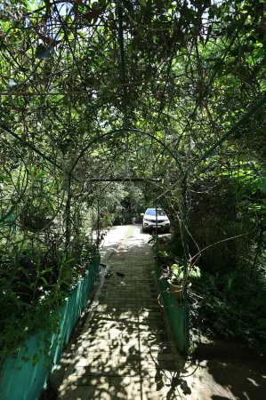 Sinharaja River Lodge Отели рядом с достопримечательностью «Sivali Central College Playground»