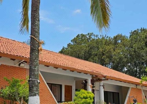 카리아리 B&B 이미지