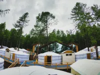 Lake Forest Lodge فنادق في 