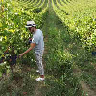 Palazzo Ciotti Others