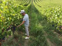 Palazzo Ciotti Hotels in Ascoli Piceno