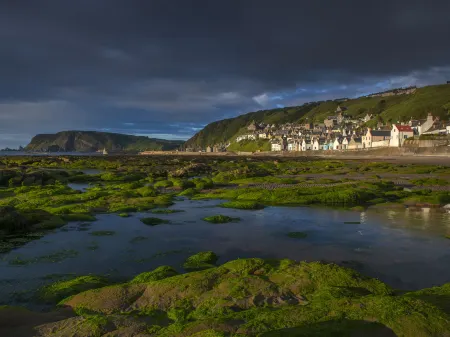 Ellie-Jo Cottage Отели в г. Gardenstown