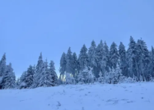 Holiday Home in Suhl Near Rennsteig Trail