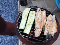 The Bay Cabin, secluded retreat Freshwater Bay