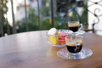 Molcho Neve Tzedek - Pet friendly