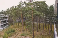 Puro - Modern Apartment by the Dunes