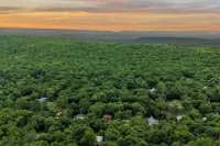 Hidden Bear by AvantStay A Central Location